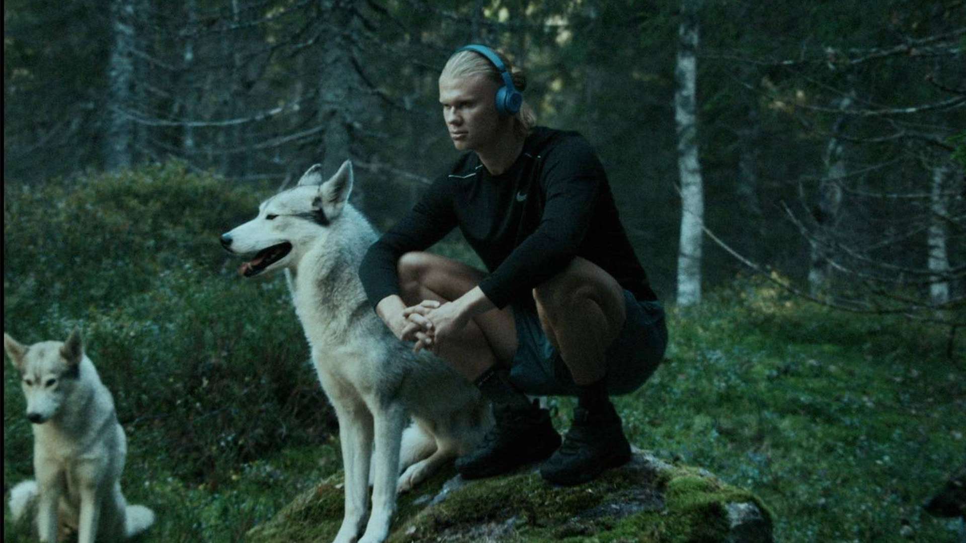 社交媒体上 社交媒体上