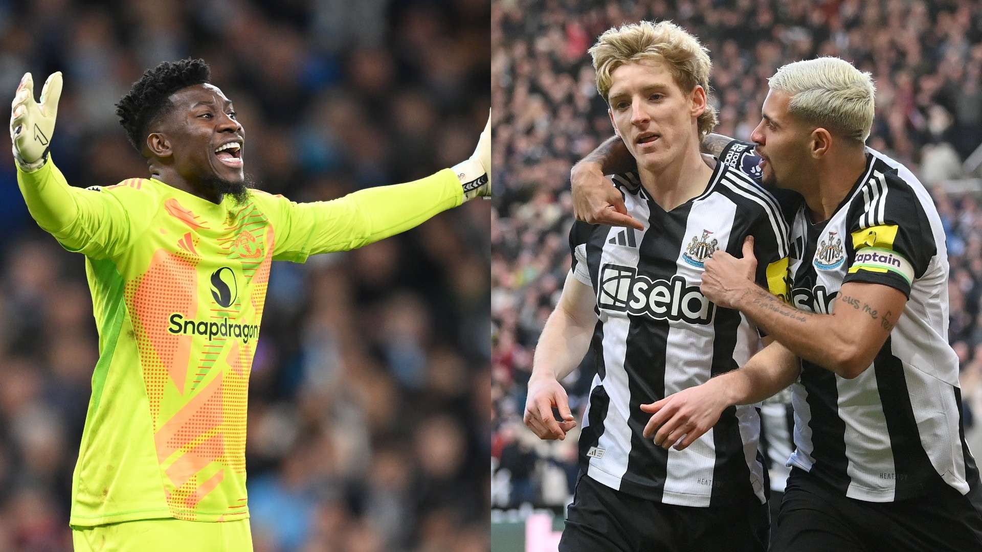 为球队书写 为球队书写