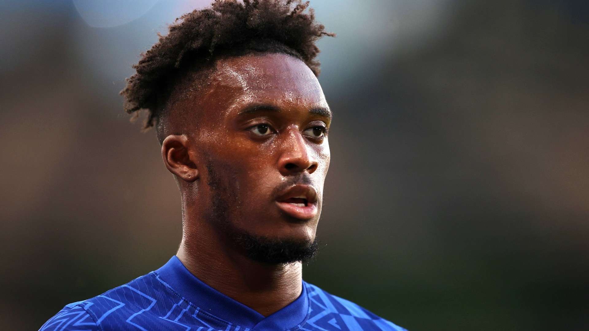 仅促进了欧 仅促进了欧