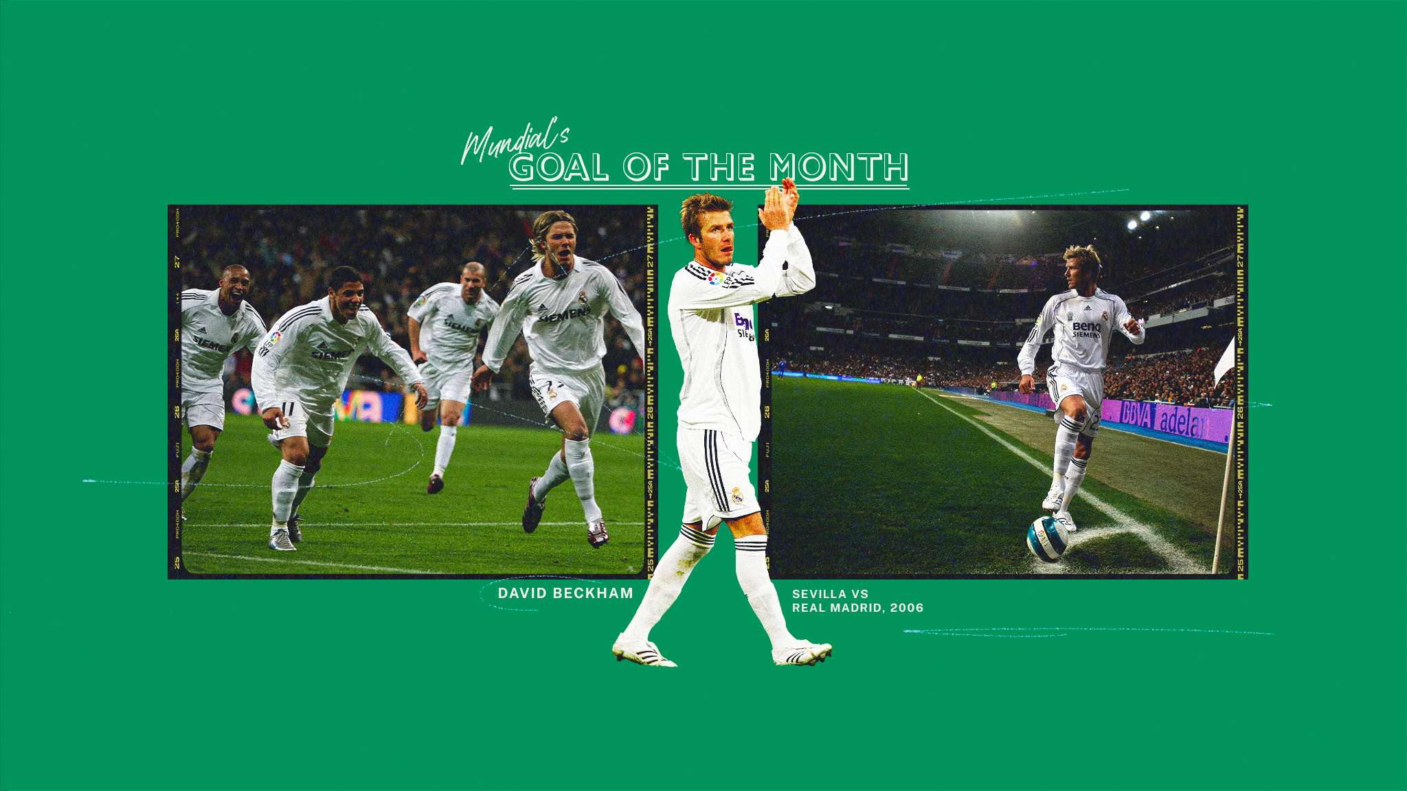 从而为他们 从而为他们